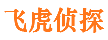 中原市私家侦探